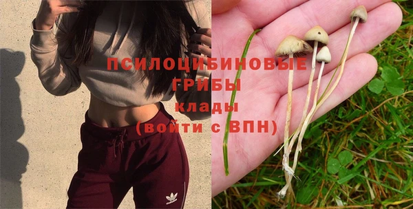 эйфоретик Горно-Алтайск
