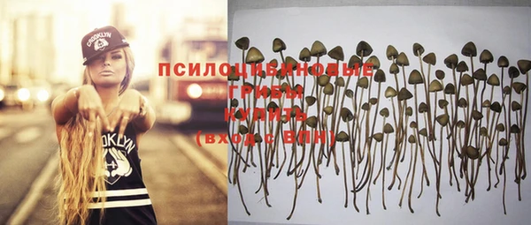 мяу мяу мука Вязьма