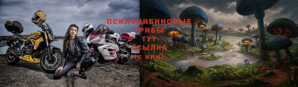 сатива Горнозаводск
